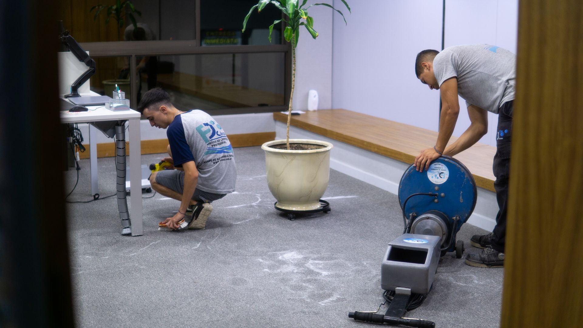 Tratamiento profesional de limpieza sobre un sillón tapizado